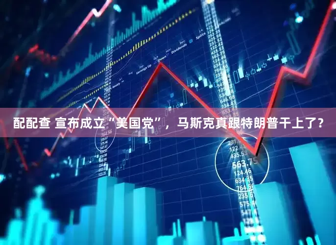 配配查 宣布成立“美国党”，马斯克真跟特朗普干上了？