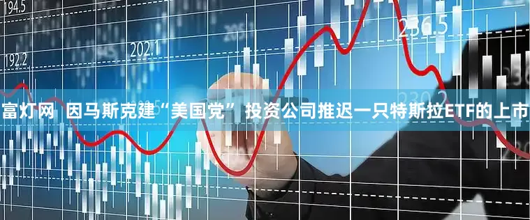 富灯网  因马斯克建“美国党” 投资公司推迟一只特斯拉ETF的上市