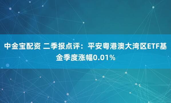 中金宝配资 二季报点评：平安粤港澳大湾区ETF基金季度涨幅0.01%