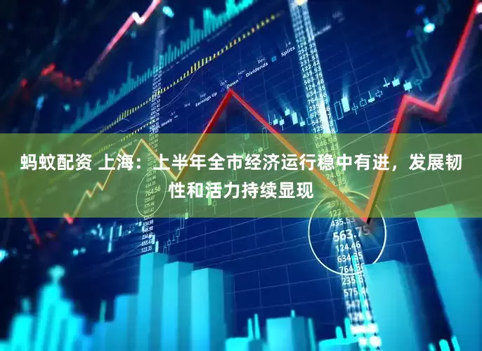 蚂蚊配资 上海：上半年全市经济运行稳中有进，发展韧性和活力持续显现