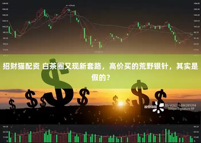 招财猫配资 白茶圈又现新套路，高价买的荒野银针，其实是假的？