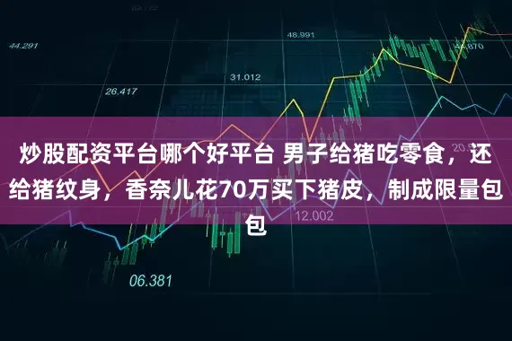 炒股配资平台哪个好平台 男子给猪吃零食，还给猪纹身，香奈儿花70万买下猪皮，制成限量包